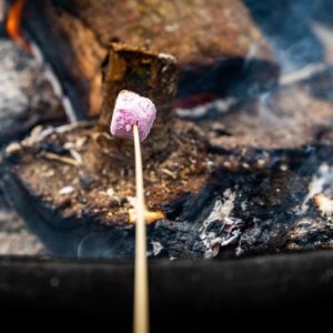 unique wedding entertainment ideas