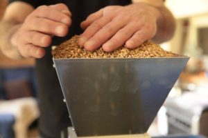 Ideas for team building activities