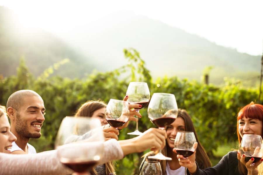 party guests enjoying wine